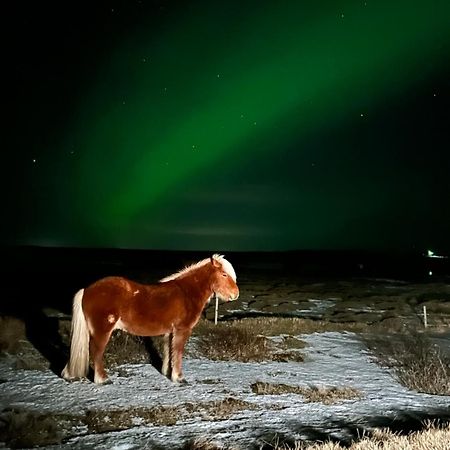 Guesthouse Didi Flagbjarnarholt المظهر الخارجي الصورة