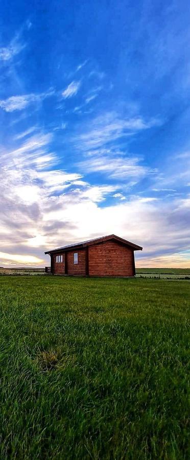 Guesthouse Didi Flagbjarnarholt المظهر الخارجي الصورة